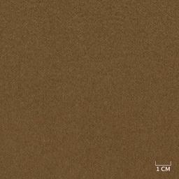 [320218] BROWN,PLAIN (DR# 85118)