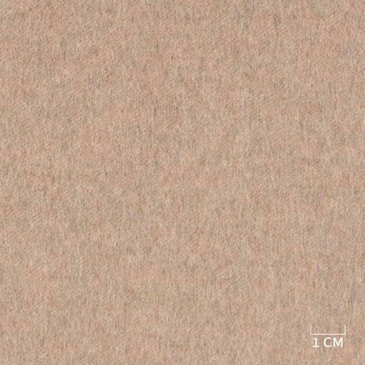 [320222] LIGHT BROWN,PLAIN (DR# 85122)