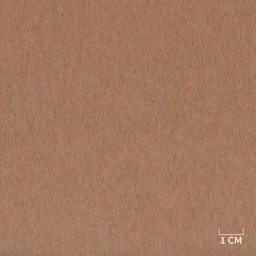 [320223] BROWN,PLAIN (DR# 85123)