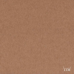 [320234] BROWN,PLAIN (DR# 85134)