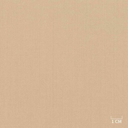 [320358] LIGHT BROWN,PLAIN (DR# 40158)