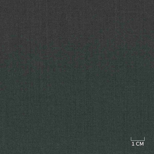 [320359] GREEN,PLAIN (DR# 40159)