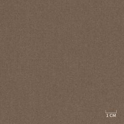 [320408] BROWN,PLAIN (DR# 90408)