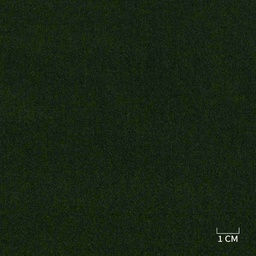 [320415] GREEN,PLAIN (DR# 90415)