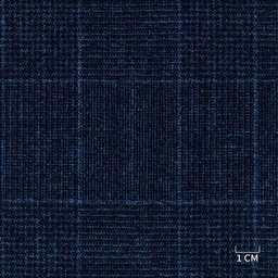 [320436] BLUE,CHECKS (DR# 90436)