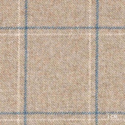[320448] BROWN,BLUE CHECKS (DR# 90448)