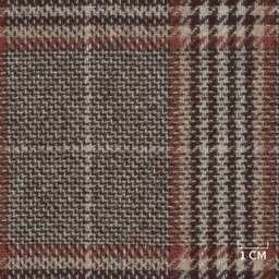 [320456] BROWN,CHECKS (DR# 90456)