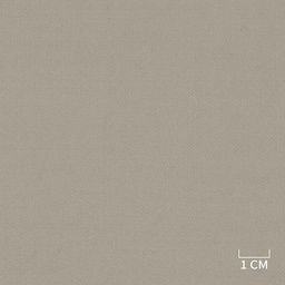 [320507] BEIGE,PLAIN (DR# 90469)
