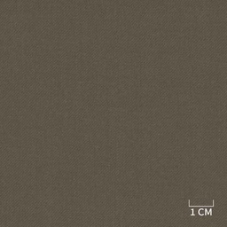 [320508] BROWN,PLAIN (DR# 90470)