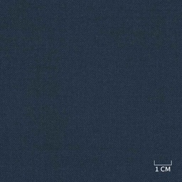 [320512] BLUE,PLAIN (DR# 90474)