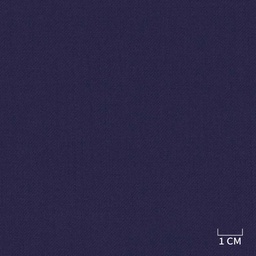 [320515] BLUE,PLAIN (DR# 90477)