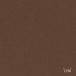 [320517] BROWN,PLAIN (DR# 90479)
