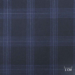 [229102] BLUE, CHECKS