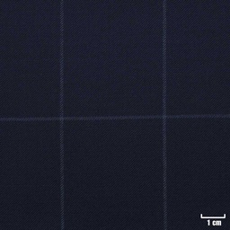 [229104] DARK BLUE, OFF WHITE CHECKS