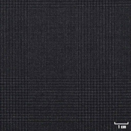 [229108] CHARCOAL, CHECKS