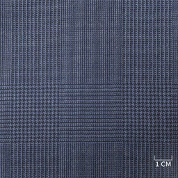 [229109] BLUE, CHECKS