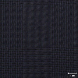 [229110] NAVY, CHECKS