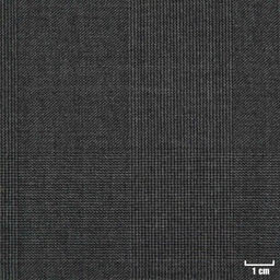 [229113] GREY, CHECKS