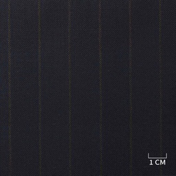 [229127] BLUE, BROWN STRIPS