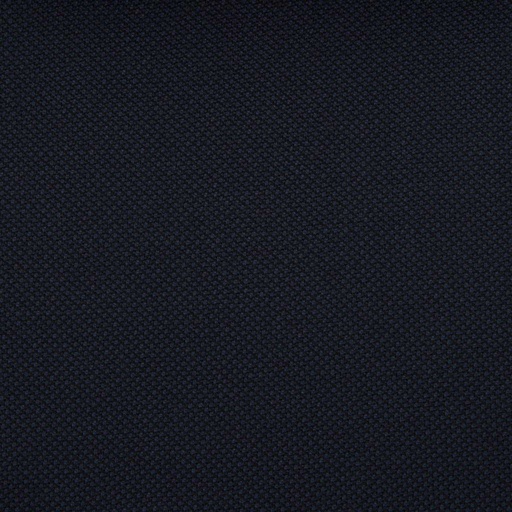 [229161] NAVY, BIRDEYE