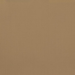 [451812] TAN, PLAIN