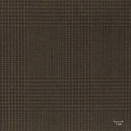 [822311] BROWN, CHECKS