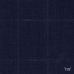 [320804] BLUE, BROWN CHECKS