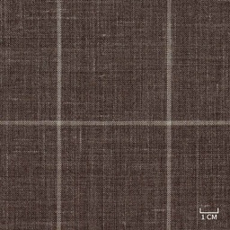 [320806] BROWN, CHECKS