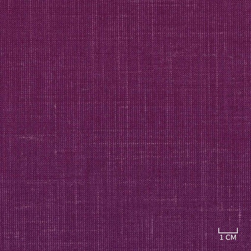 [320823] PURPLE, PLAIN
