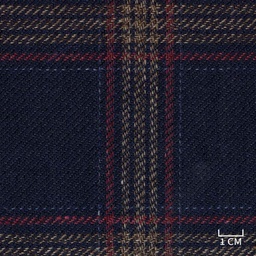[320844] BLUE, RED CHECKS