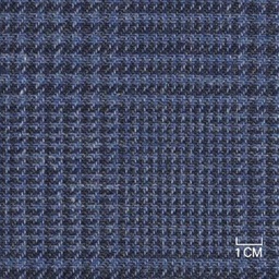 [610512] BLUE, CHECKS (106/12)