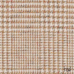 [610513] BROWN, CHECKS (106/13)