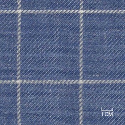 [610520] BLUE, WHITE CHECKS (106/20)