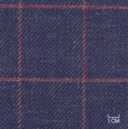 [610521] BLUE, RED CHECKS (106/21)