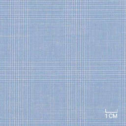 [406101] BLUE,CHECKS (19/27)
