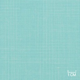 [406105] LIGHT GREEN,CHECKS (19/31)