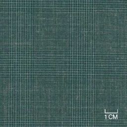 [406110] GREEN,CHECKS (19/36)