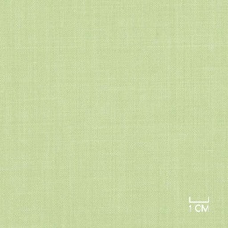 [406153] LIGHT GREEN,PLAIN (1/169)