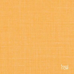 [406158] YELLOW,PLAIN (1/173)