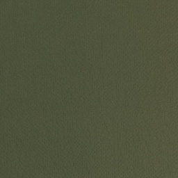 [660739] OLIVE, PLAIN SEERSUCKER