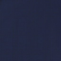 [660103] BLUE,CHECKS