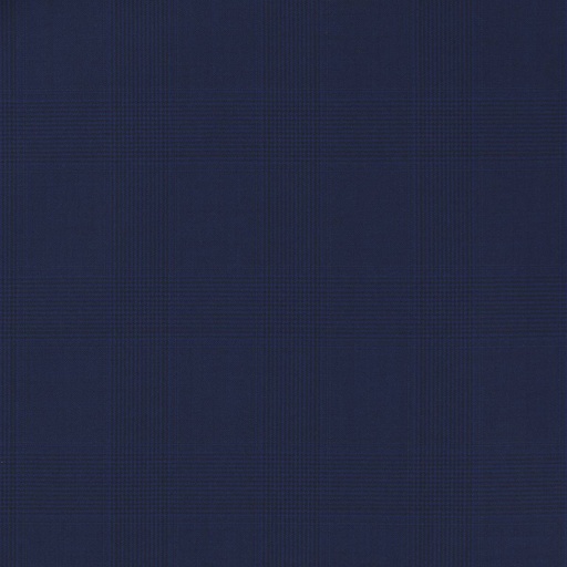 [660103] BLUE,CHECKS