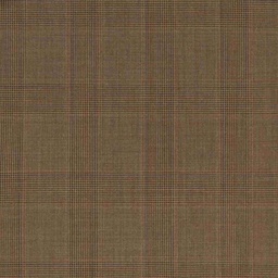 [660106] BROWN,CHECKS
