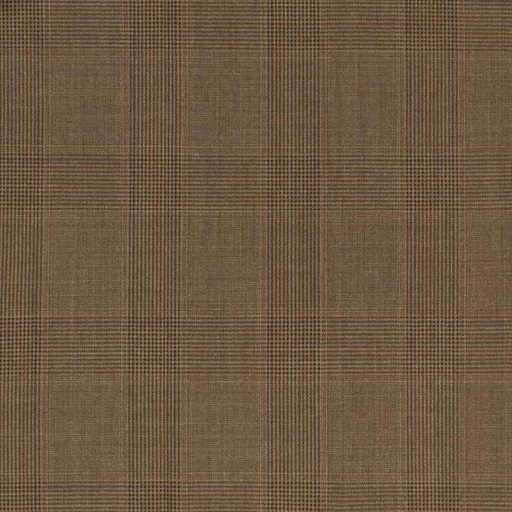 [660106] BROWN,CHECKS