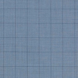 [660125] LIGHT BLUE,CHECKS