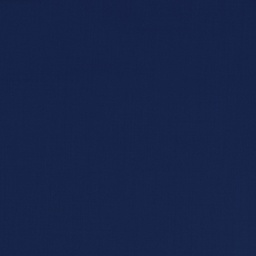 [660150] BLUE,PLAIN