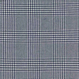 [660226] BLUE, WHITE CHECKS