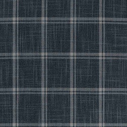 [660330] BLUE,CHECKS
