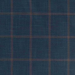 [660332] BLUE,BROWN CHECKS