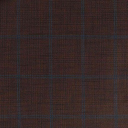[660333] BROWN,BLUE CHECKS